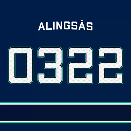 Team alingsas
